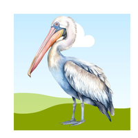 pelican_4e7b4933-31f3-4bc5-a260-cf643b64d130.png